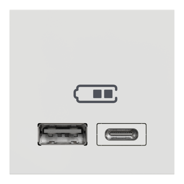 Розетка USB 2.0 зарядна подвійна, 2.4А, A+C, 2 модуля, білий, Unica NEW NU301818