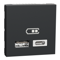 Розетка USB 2.0 зарядна подвійна, 2.4А,  A+C, 2 модуля, антрацит, Unica NEW NU301854