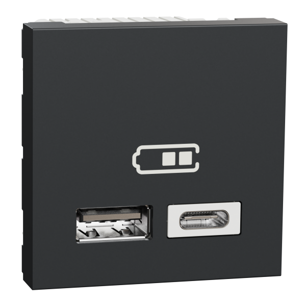 Розетка USB 2.0 зарядна подвійна, 2.4А, A+C, 2 модуля, антрацит, Unica NEW NU301854
