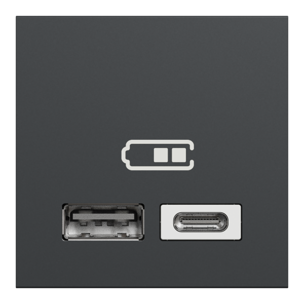 Розетка USB 2.0 зарядна подвійна, 2.4А, A+C, 2 модуля, антрацит, Unica NEW NU301854