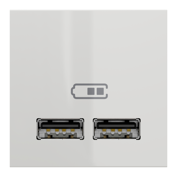Розетка USB 2.0 зарядна подвійна 2.1А, 2 модуля, білий, Unica NEW NU341818