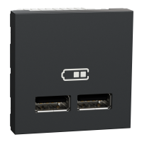 Розетка USB 2.0 зарядна подвійна 2.1А, 2 модуля, антрацит, Unica NEW NU341854
